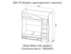 ДМ-16 Кровать двухъярусная с ящиком в Нижней Туре - nizhnyaya-tura.magazin-mebel74.ru | фото