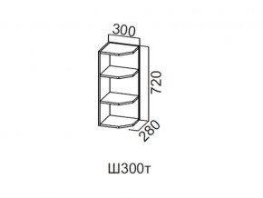 Ш300т/720 Шкаф навесной 300/720 (торцевой) в Нижней Туре - nizhnyaya-tura.magazin-mebel74.ru | фото