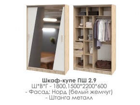 шкаф-купе ПШ-2.9 1500 Норд Белый жемчуг 1500 в Нижней Туре - nizhnyaya-tura.magazin-mebel74.ru | фото