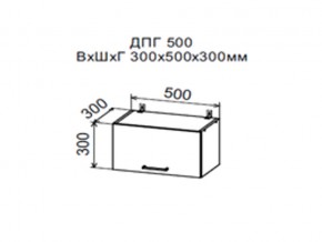 Шкаф верхний ДПГ500 горизонтальный в Нижней Туре - nizhnyaya-tura.magazin-mebel74.ru | фото
