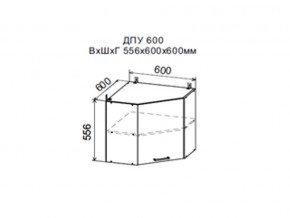 Шкаф верхний ДПУ600 угловой в Нижней Туре - nizhnyaya-tura.magazin-mebel74.ru | фото